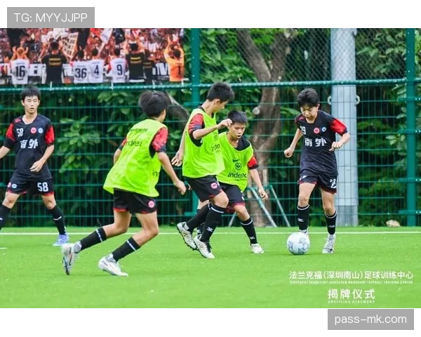 法兰克福青训实力 法兰克福青训实力